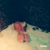 Проститутка Киева Виола, с 3 размером груди - маленькое фото