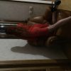 Проститутка Киева Вера, звонить по телефону 0**1937137 - маленькое фото