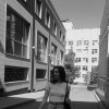 Проститутка Киева Полина, позвонить по телефону 0**2339889 - маленькое фото
