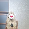 Проститутка Киева Таня, работает на улице Иорданская - маленькое фото