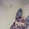 Проститутка Киева Аврора, снять за 2500 грн в час - маленькое фото