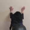 Проститутка Киева Надежда, заказать за 3000 грн за час - маленькое фото