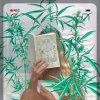 Проститутка Киева Stella, снять за 1500 грн в час - маленькое фото