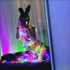 Проститутка Киева Оля, звонить по телефону 0**3539228 - маленькое фото