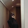 Проститутка Киева Даринка, заказать за 2200 грн в час - маленькое фото