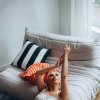 Проститутка Киева Сабрина, девушке 21 год - маленькое фото