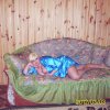 Проститутка Киева АНЮТА, с 5 размером груди - маленькое фото